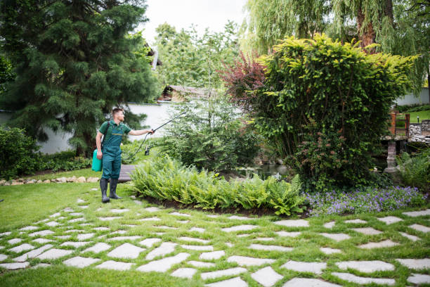 Best Best Pest Control Companies  in Belmont, NC