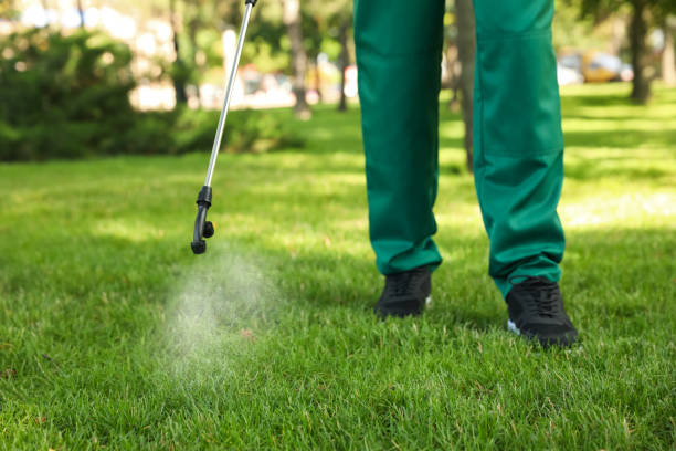 Pest Prevention Services in Belmont, NC