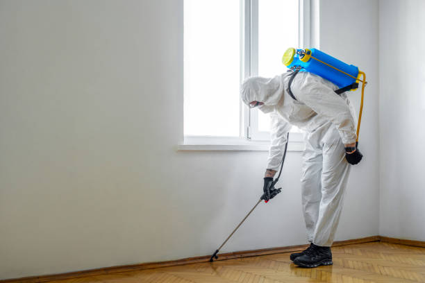 Insect Control in Belmont, NC