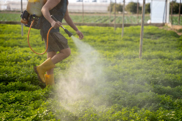Best Local Pest Control Services  in Belmont, NC