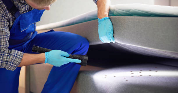 Best Bed Bug Extermination  in Belmont, NC