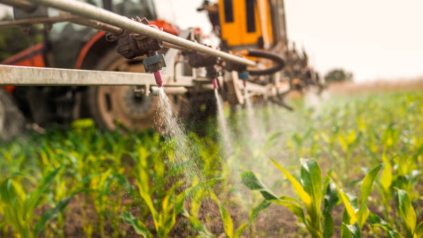 Best Commercial Pest Control Services  in Belmont, NC